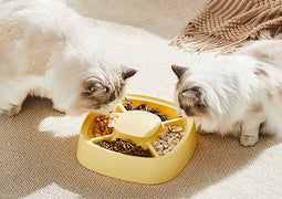 Pet Feeding Containers